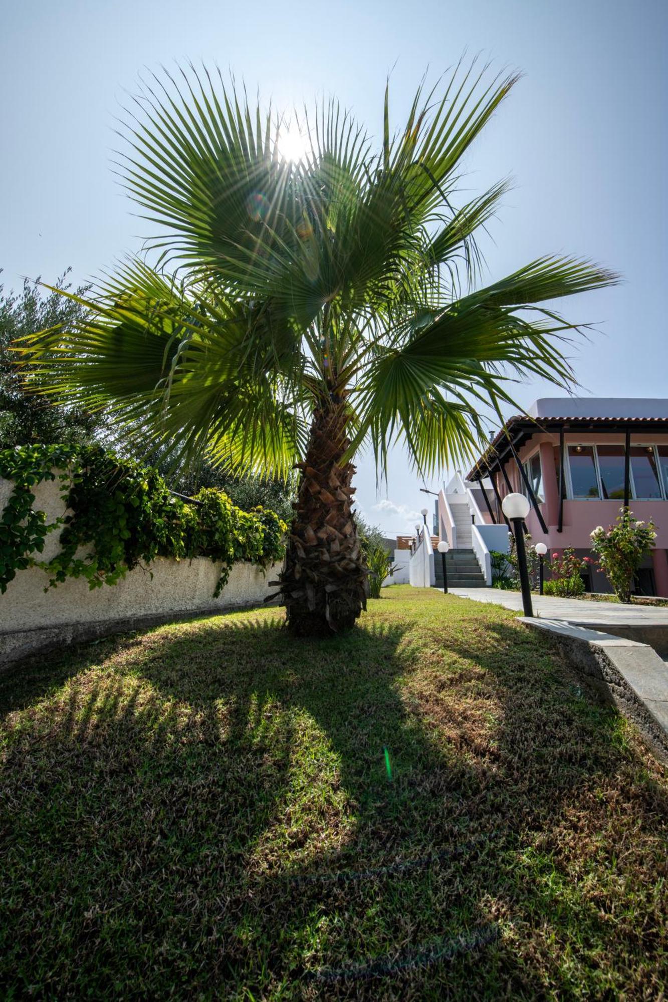Villa Eleni 100M From The Sea Rapanianá Exteriér fotografie